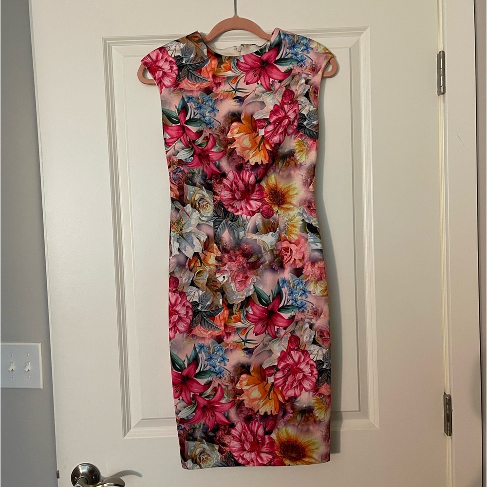 Alexia Admor Dress Size XS